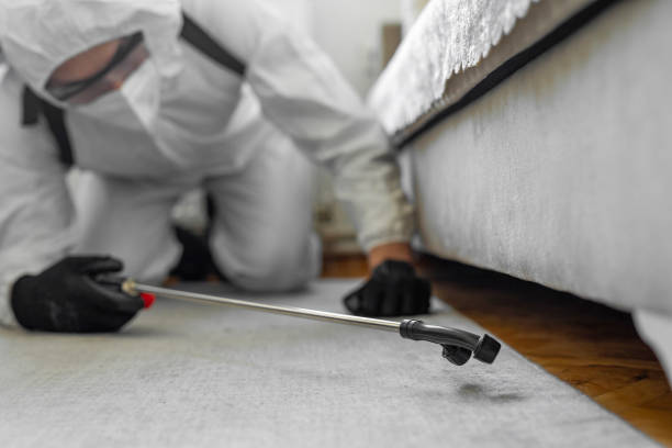 Professional Ant Control technician working in Hamilton County County, KS